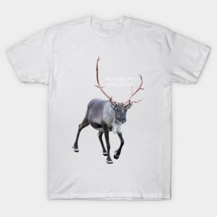 Rudolph the red-nosed T-Shirt